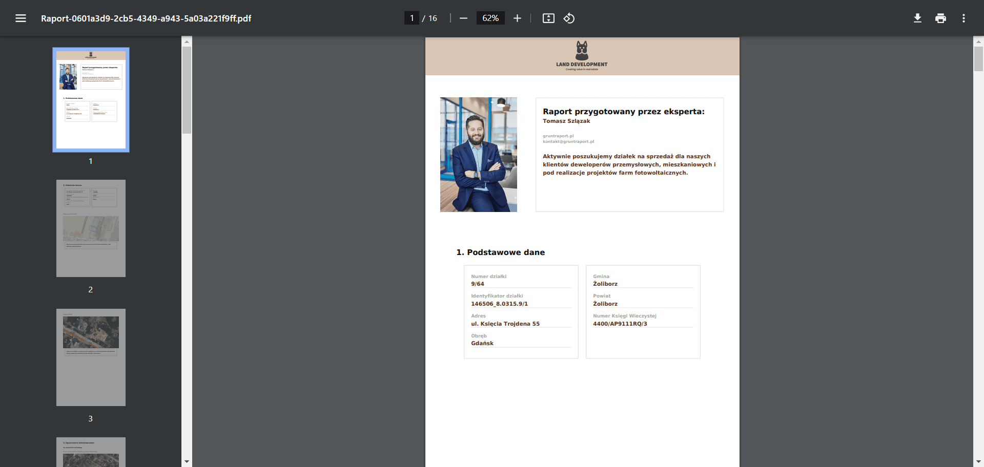 Raport PDF - widok 1