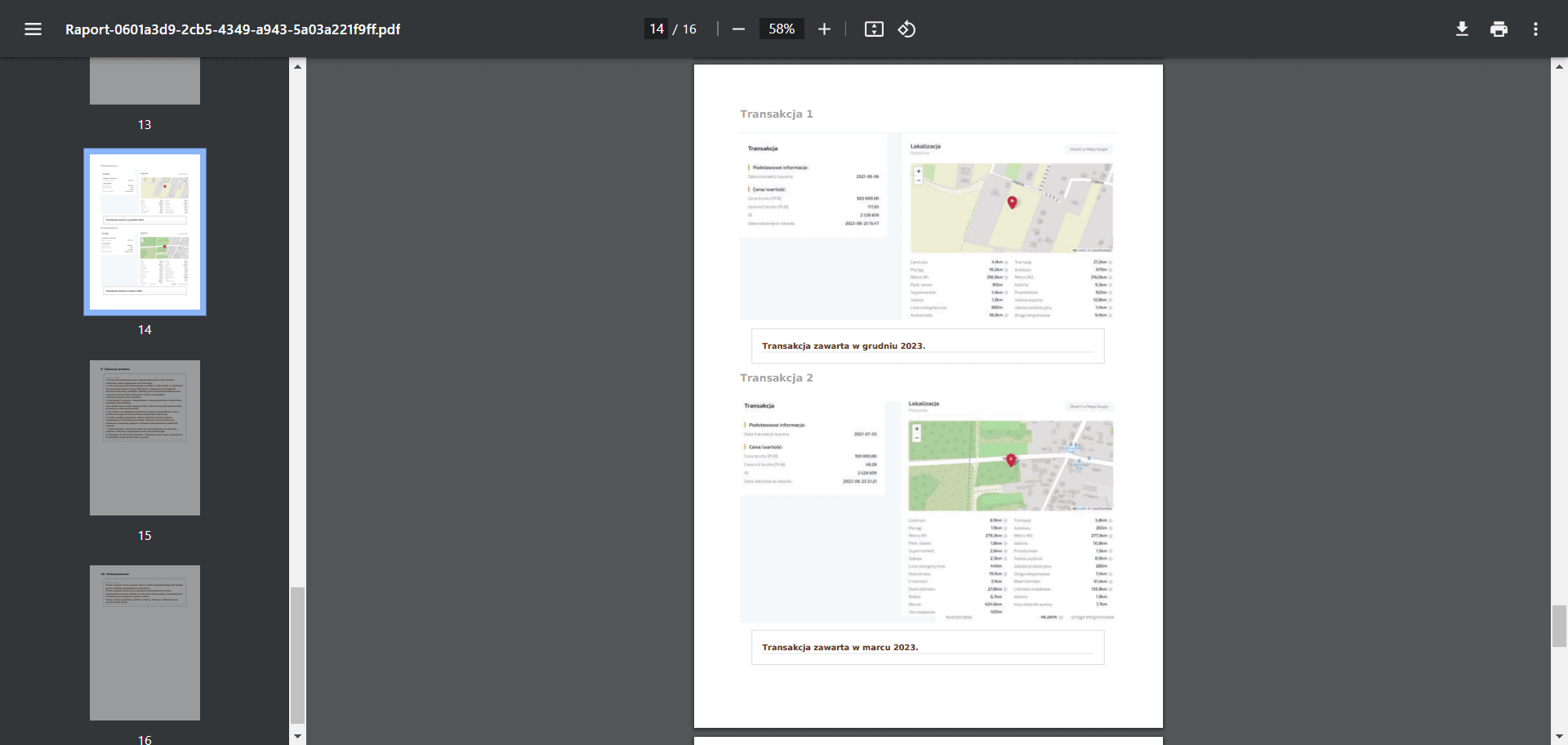 Raport PDF - widok 14